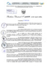 Vista preliminar de documento Resolución Directoral. N° 0223 - 2024
