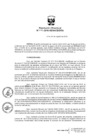 Vista preliminar de documento 393458526646359273