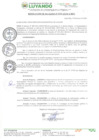 Vista preliminar de documento RESOLUCION DE ALCALDIA Nº 29-2024