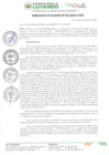 Vista preliminar de documento RESOLUCION DE ALCALDIA Nº 33-2024