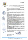 Vista preliminar de documento RA 006-2024-MPHH