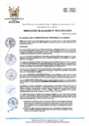 Vista preliminar de documento RA 010-2024-MPHH