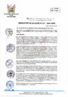 Vista preliminar de documento RA 017-2024-MPHH