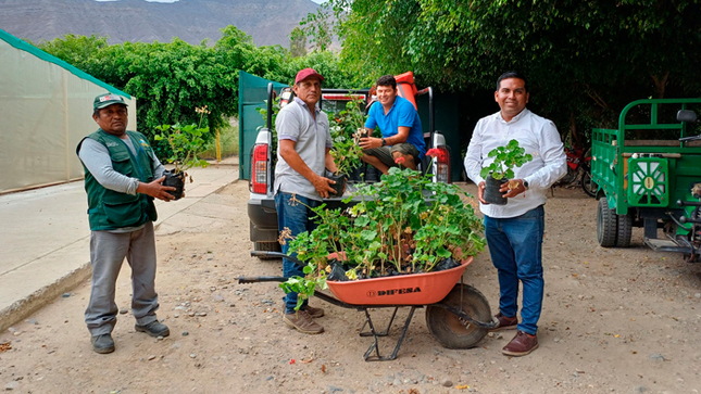 PEJEZA entrega plantones ornamentales a Municipalidad Distrital de Pimentel