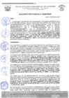 Vista preliminar de documento rgm 1185