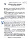 Vista preliminar de documento RSG-0010-2024-SGDP