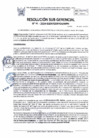 Vista preliminar de documento RSG-0008-2024-SGDP