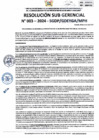 Vista preliminar de documento RSG-0003-2024-SGDP
