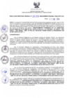 Vista preliminar de documento RDR N° 026-2023-17-01-2024
