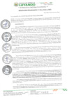 Vista preliminar de documento RESOLUCION DE ALCALDIA Nº 041-2024