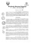 Vista preliminar de documento RDR Nº 2519-2023-GRSM-DRE