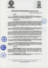 Vista preliminar de documento ResolGere-Nro.-420-2022-MDY