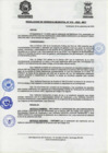 Vista preliminar de documento ResolGere-Nro.-419-2022-MDY