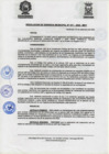 Vista preliminar de documento ResolGere-Nro.-417-2022-MDY