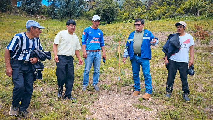 Fotos: Oficina de Imagen Institucional de la GRALL.