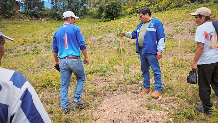 Fotos: Oficina de Imagen Institucional de la GRALL.