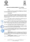 Vista preliminar de documento ResolGere-Nro.-324-2022-MDY