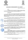 Vista preliminar de documento ResolGere-Nro.-316-2022-MDY
