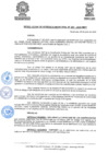 Vista preliminar de documento ResolGere-Nro.-257-2022-MDY