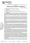 Vista preliminar de documento ACM24N008