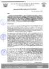 Vista preliminar de documento rgm 1273