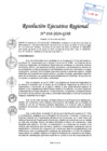 Vista preliminar de documento RER 038-2024-GOB