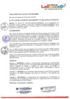 Vista preliminar de documento RESOLUCIÓN DE ALCALDÍA Nº 019-2024-A-MDSJL
