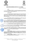 Vista preliminar de documento ResolGere-Nro.-163-2022-MDY