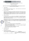 Vista preliminar de documento TDR