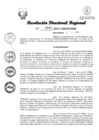Vista preliminar de documento RDR Nº 2645-2023-GRSM-DRE