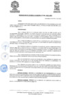 Vista preliminar de documento ResolGere-Nro.-044-2022-MDY