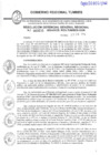 Vista preliminar de documento R.G.G.R. N030-2024GRT-GGR_22Ene2024