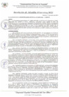 Vista preliminar de documento RA_021_2024_MDI