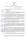 Vista preliminar de documento RES-047-2024-GR