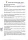 Vista preliminar de documento RA38_2024