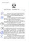 Vista preliminar de documento Resolución Jefatural Nº 013-2024-INEI