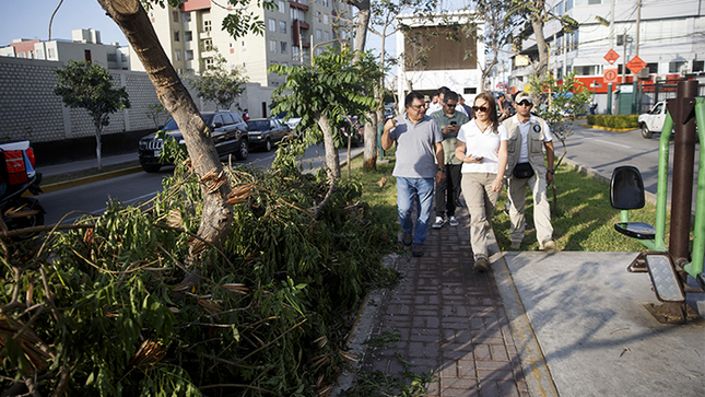 Alcaldesa de Surquillo recorre espacios públicos para garantizar la seguridad de vecinos.