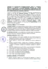 Vista preliminar de documento -2513453951276972467