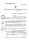Vista preliminar de documento RD N°0010