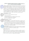 Vista preliminar de documento -1314285317210619593