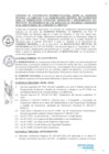 Vista preliminar de documento 2685666865497568558
