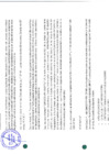 Vista preliminar de documento 3052