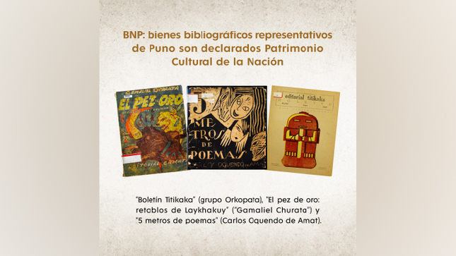 imagen1