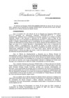 Vista preliminar de documento RD 013