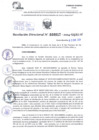Vista preliminar de documento Resolución Directoral. N° 0017 - 2024 
