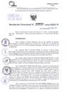 Vista preliminar de documento Resolución Directoral. N° 0020 - 2024 