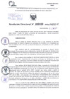 Vista preliminar de documento Resolución Directoral. N° 0029 - 2024 