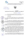 Vista preliminar de documento Resolución Directoral. N° 0049 - 2024 