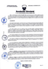 Vista preliminar de documento RES-DIR-012-24