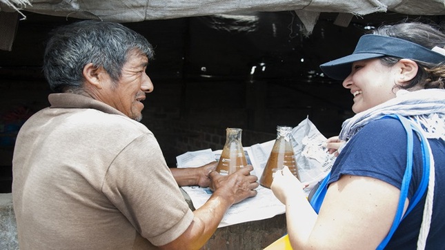 Innovadores entregando formula de alimento para ganado porcino